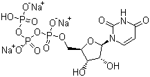 19817-92-6