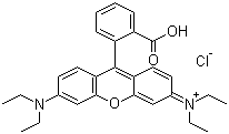 81-88-9