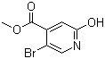 913836-17-6